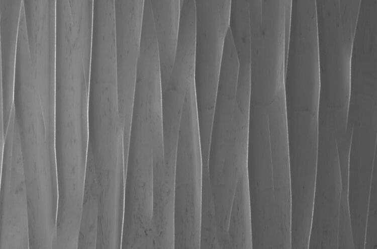 特殊金属加工のDemoldから自在成形パネルの新柄が発売